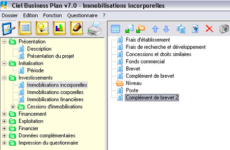 Les postes d'investissements de Ciel Business Plan 2007