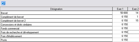 Les postes prsents sous forme de tableau dans Ciel Business Plan 2007