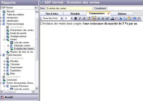Les commentaires dans un rapport d'EBP Business Plan 2007