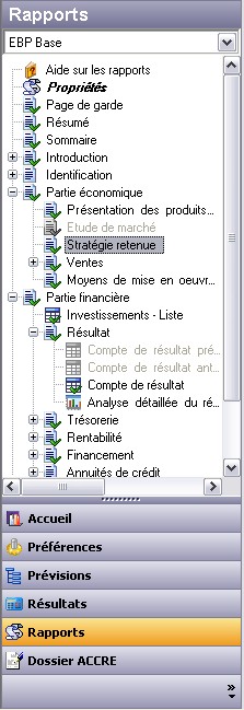 La structure du rapport d'EBP Business Plan 2007