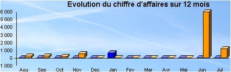 ciel devis factures 2005: volution du chiffre d'affaires